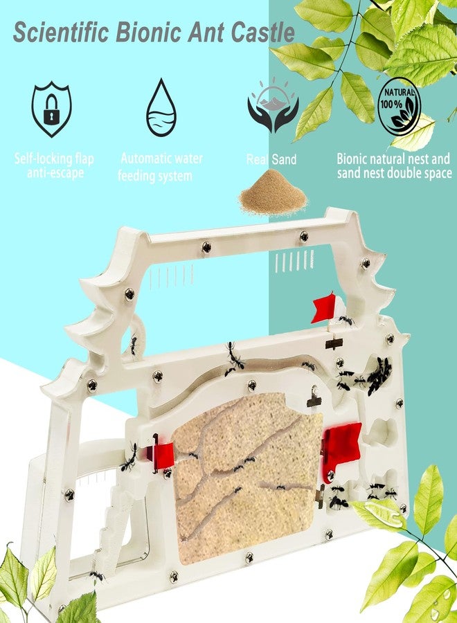 EXBEPE Ant Farm Castle,Ant Colony Habitat Observation Tool Kits,Bug Terrarium House,Nature Learning Toys, Education Science Kit - Image 3